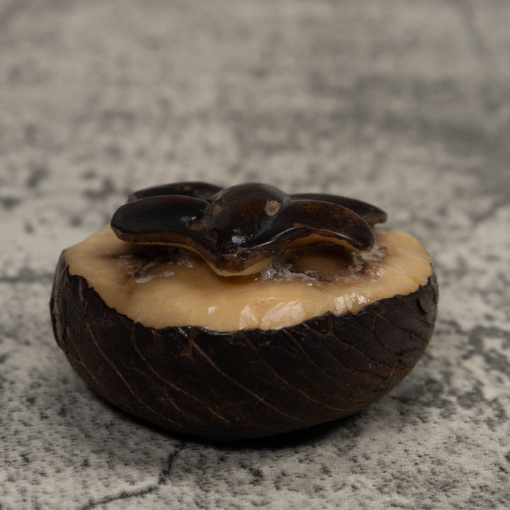 Vintage Stingray Tagua Carving