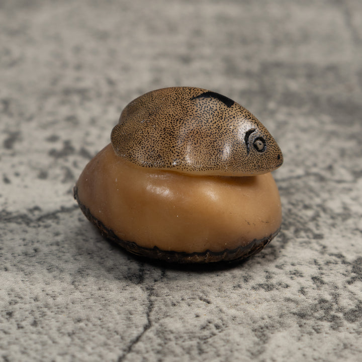 Vintage Ocean Stingray Tagua Carving