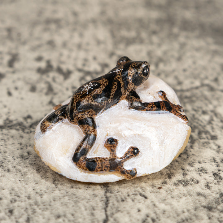 Black And Gold Poison Dart Frog Tagua Carving