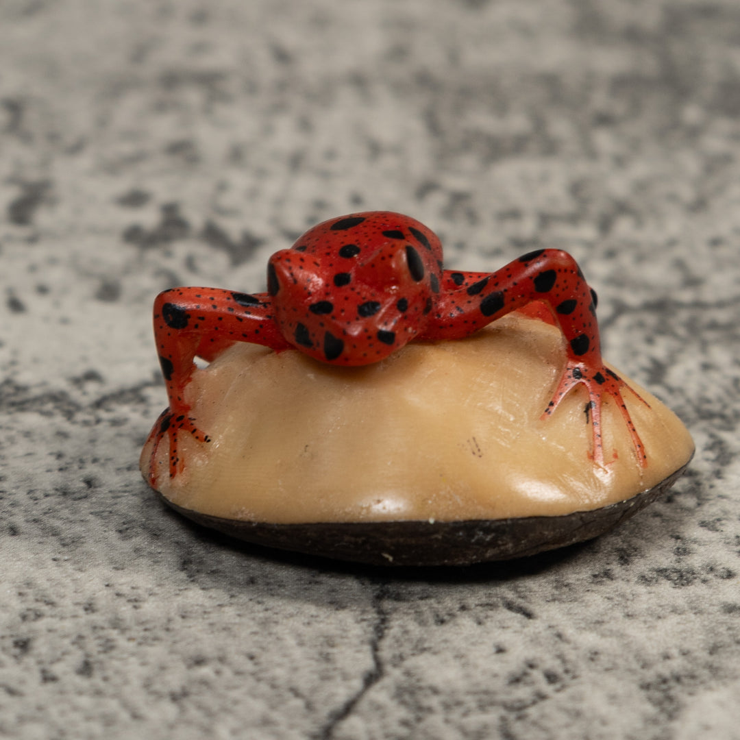 Vintage Black And Red Poison Dart Frog Tagua Carving