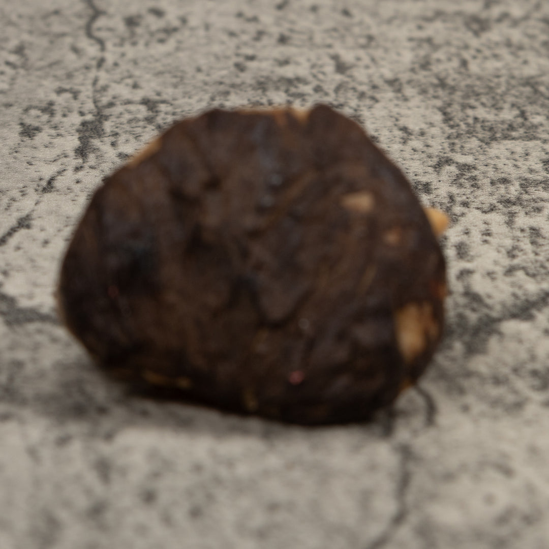 Vintage White Parrot Bird Tagua Carving