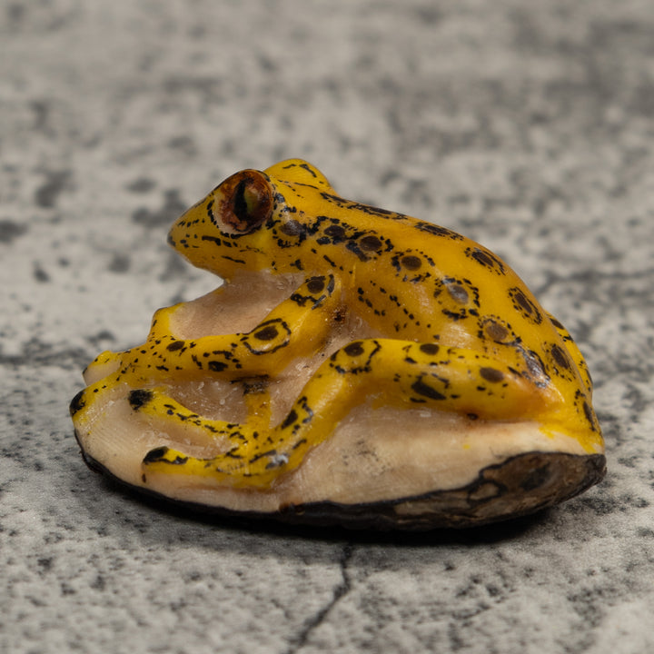 Vintage Yellow And Black Frog Tagua Carving