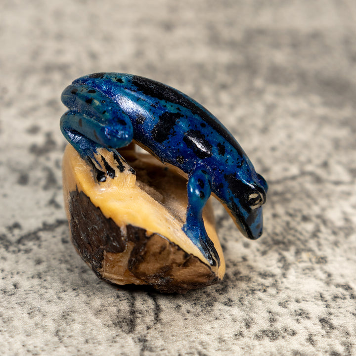 Blue And Black Poison Dart Frog Tagua Carving