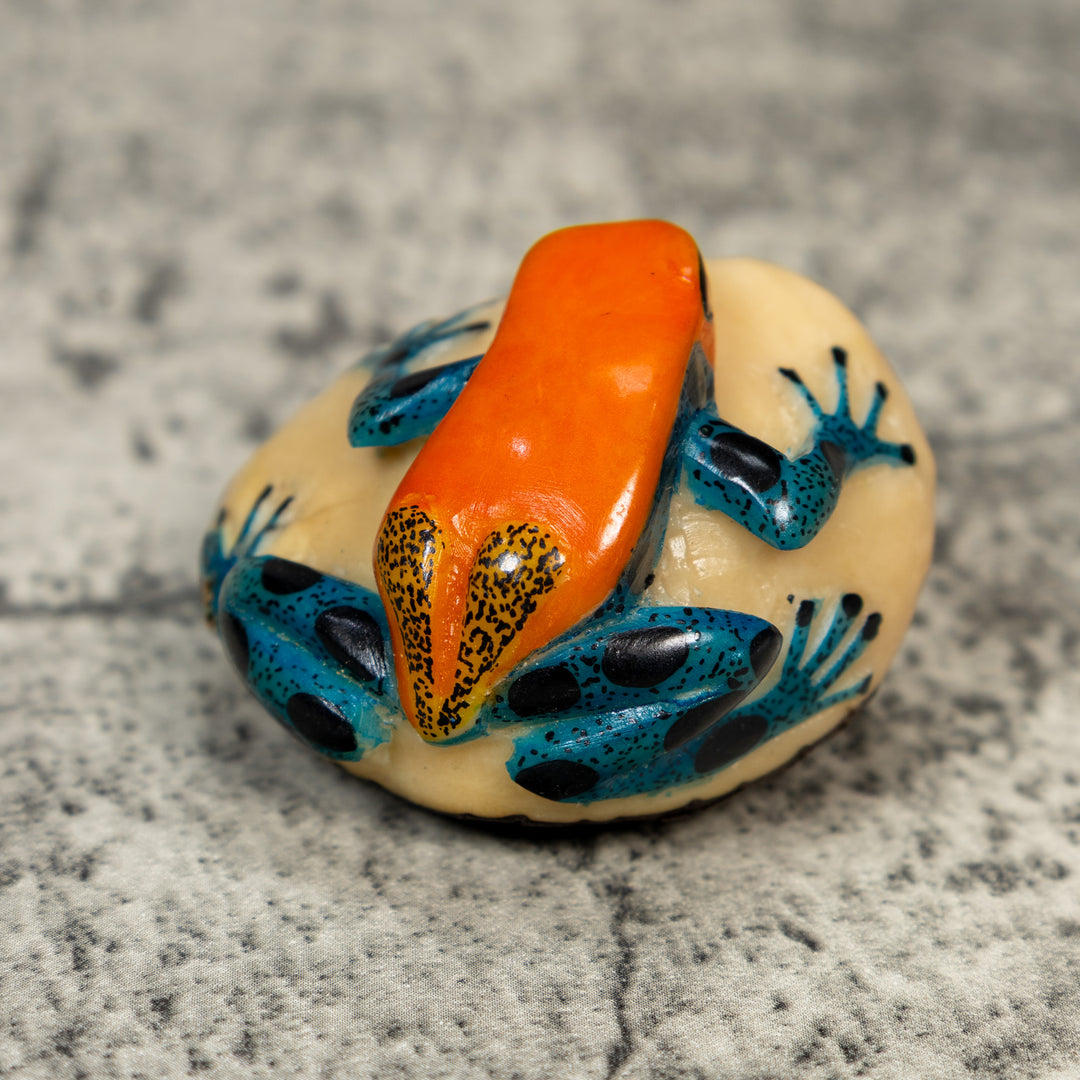 Orange And Blue Poison Dart Frog Tagua Carving
