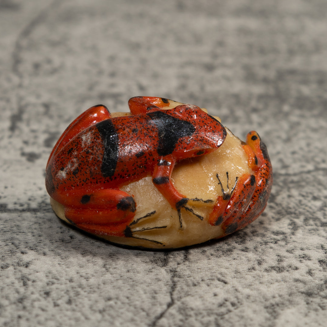 Double Red And Black Poison Dart Frog Tagua Carving
