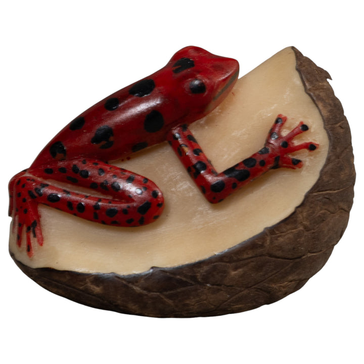 Red And Black Poison Dart Frog Tagua Carving