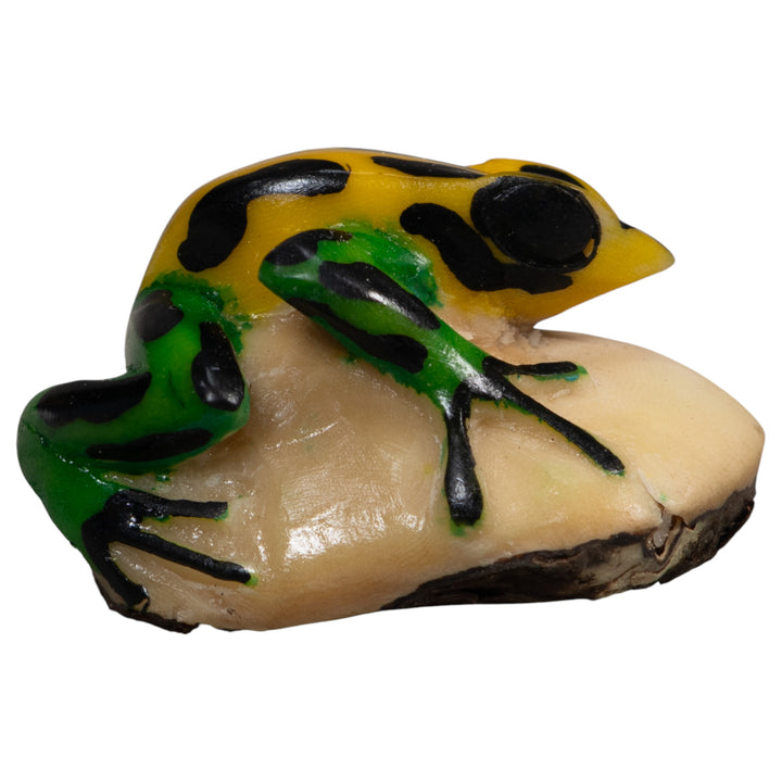 Vintage Black Green And Yellow Frog Tagua Carving