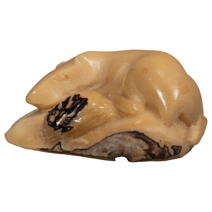 Vintage White Neque Agouti Tagua Carving