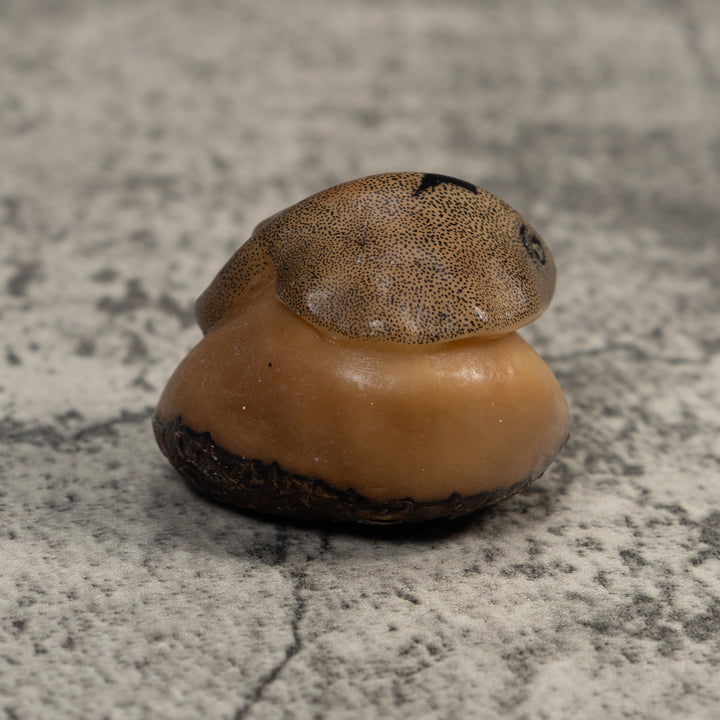 Vintage Ocean Stingray Tagua Carving