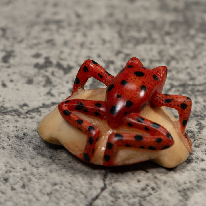 Vintage Black And Red Poison Dart Frog Tagua Carving