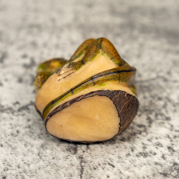 Brown And Black Iguana Lizard Tagua Carving