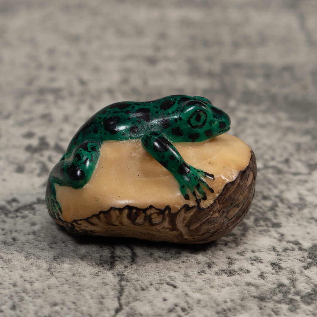 Vintage Green And Black Poison Dart Frog Tagua Carving