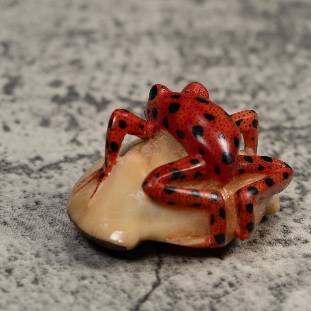 Vintage Black And Red Poison Dart Frog Tagua Carving