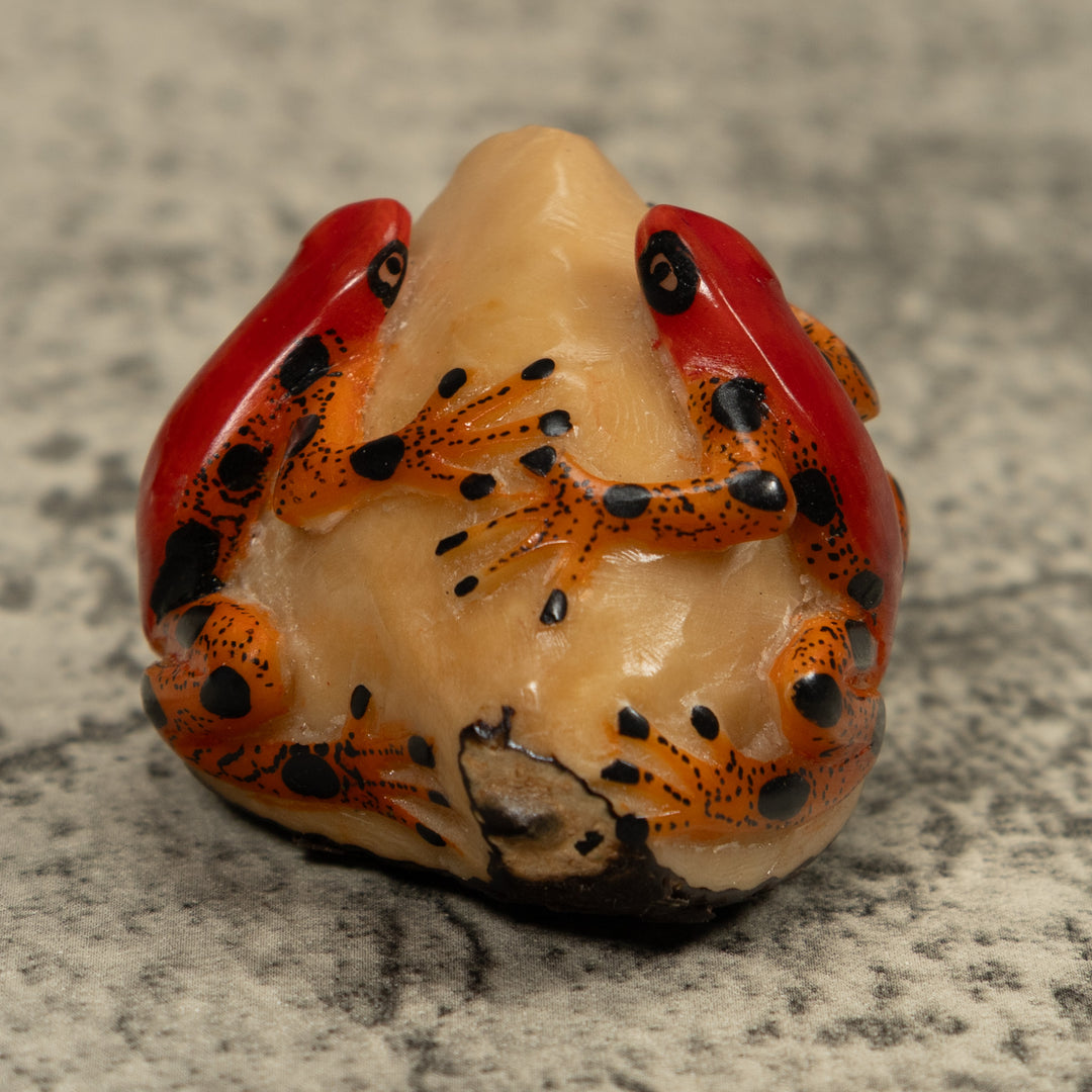 Red And Gold Two Frog Tagua Carving