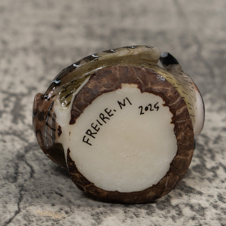 Hoot Owl Bird Tagua Carving