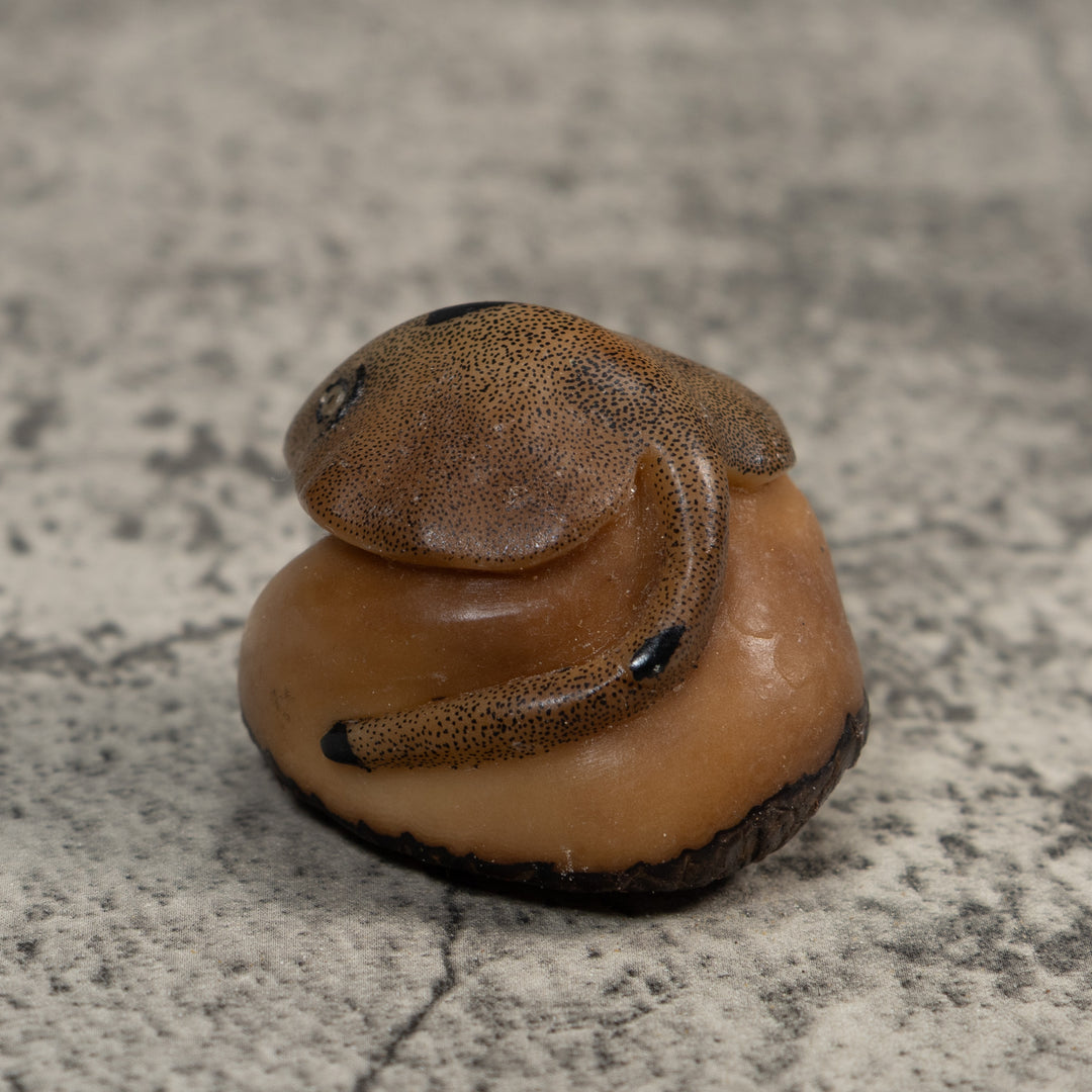 Vintage Ocean Stingray Tagua Carving