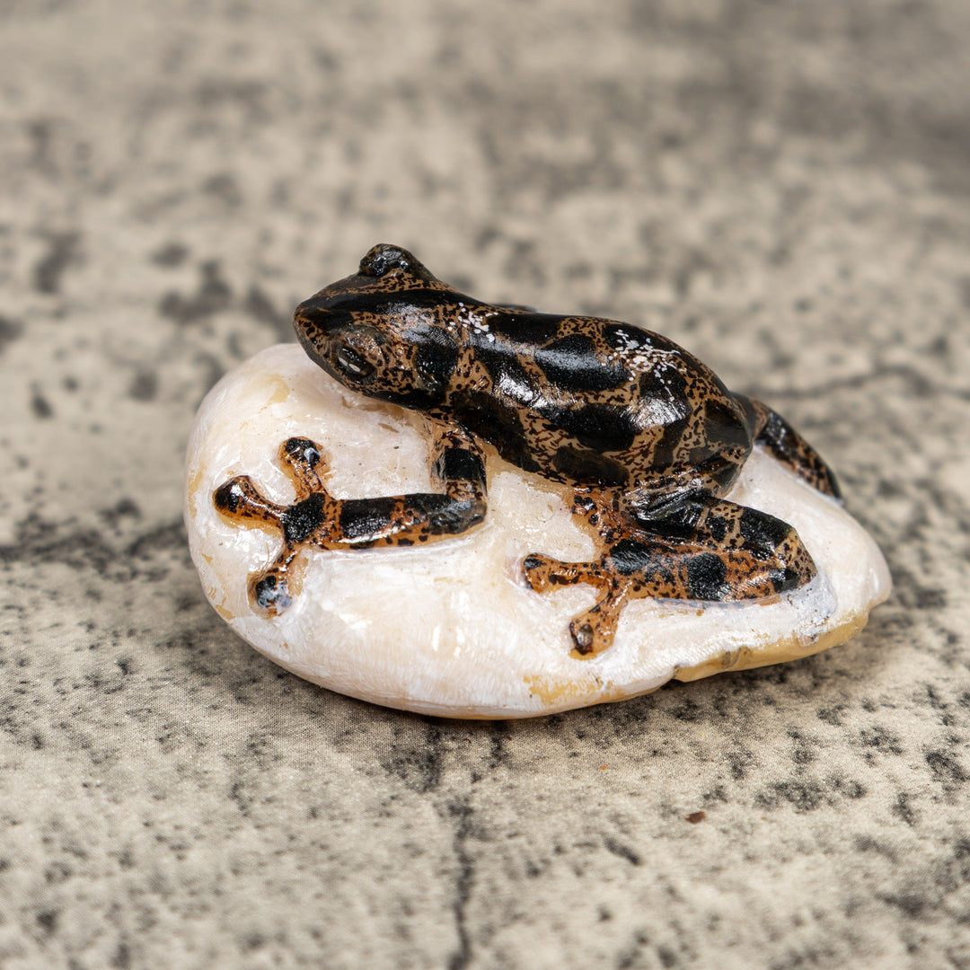 Black And Gold Poison Dart Frog Tagua Carving