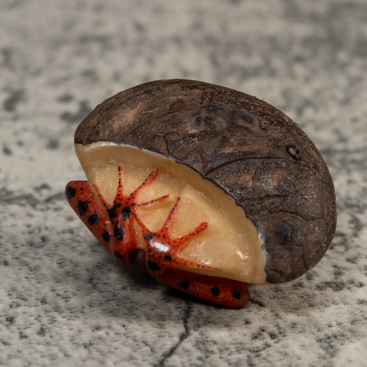 Vintage Black And Red Poison Dart Frog Tagua Carving