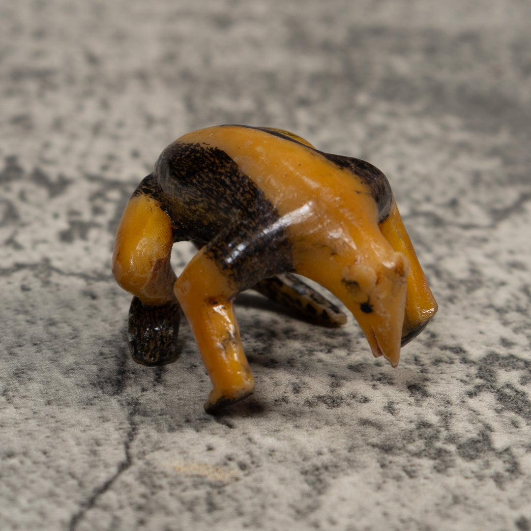 Vintage Undercut And Free-Standing Anteater Tagua Carving