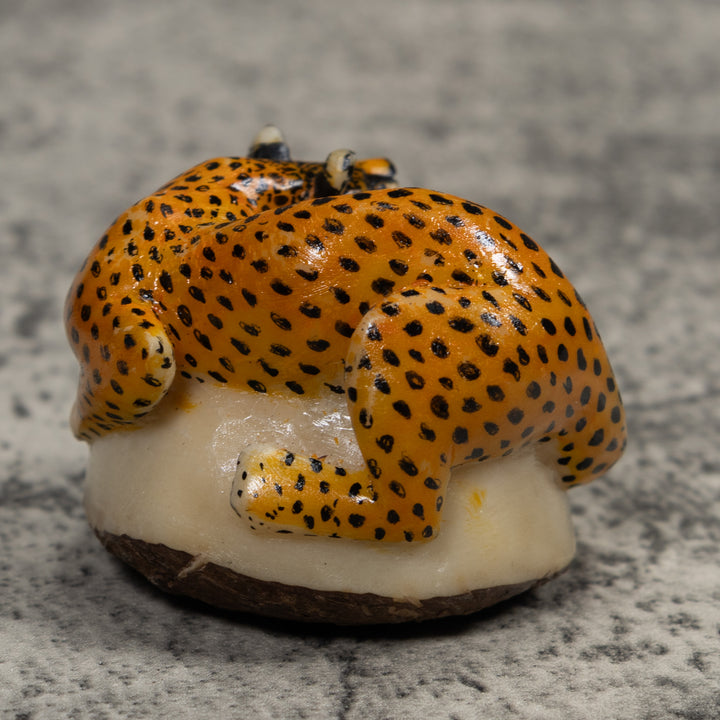 Cheetah Cat Tagua Carving