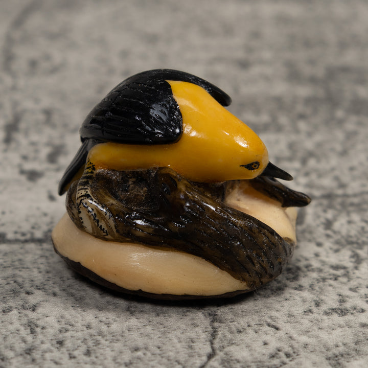 Black And Yellow Oriole Bird Tagua Carving