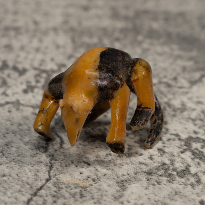 Vintage Undercut And Free-Standing Anteater Tagua Carving
