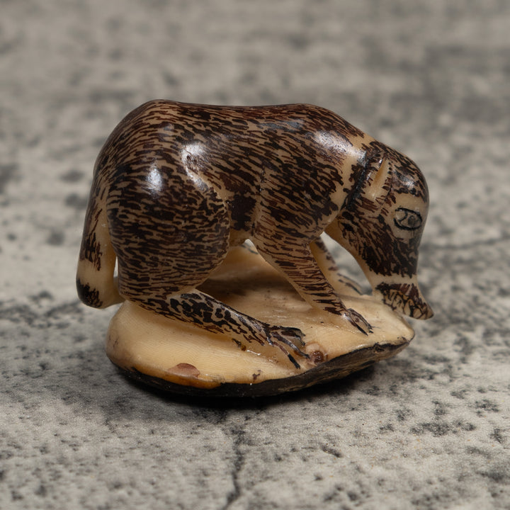 Vintage Coatimundi Tagua Carving