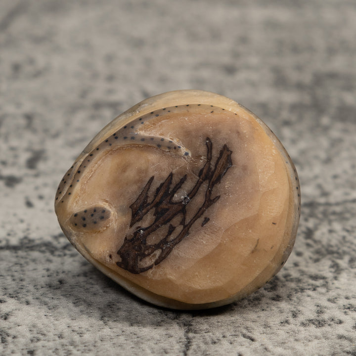 Vintage Stingray Fish Tagua Carving