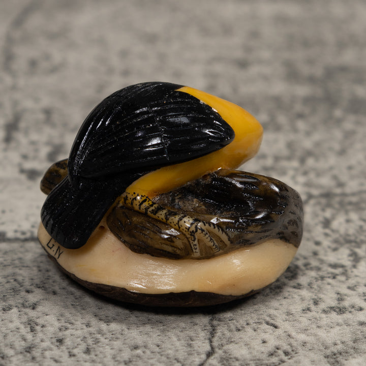 Black And Yellow Oriole Bird Tagua Carving