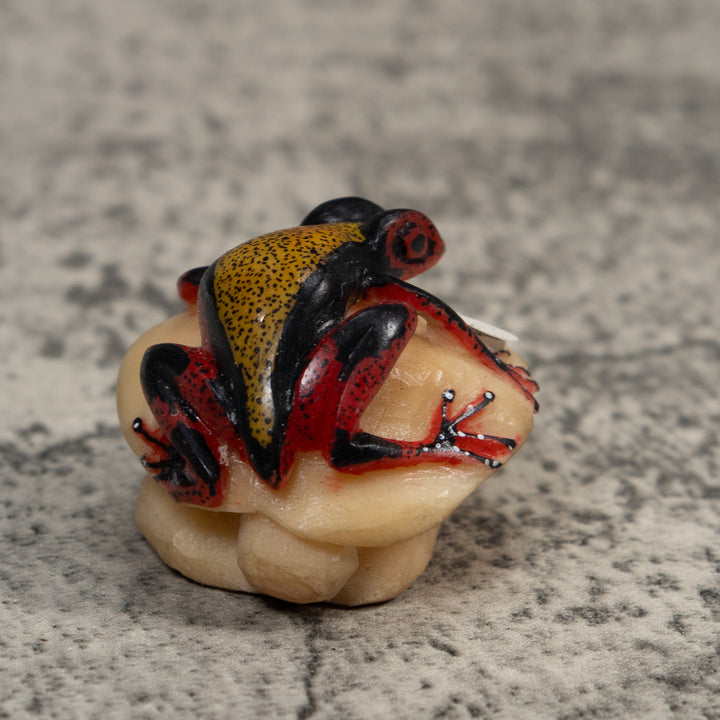 Vintage Red Black And Gold Poison Dart Frog Tagua Carving