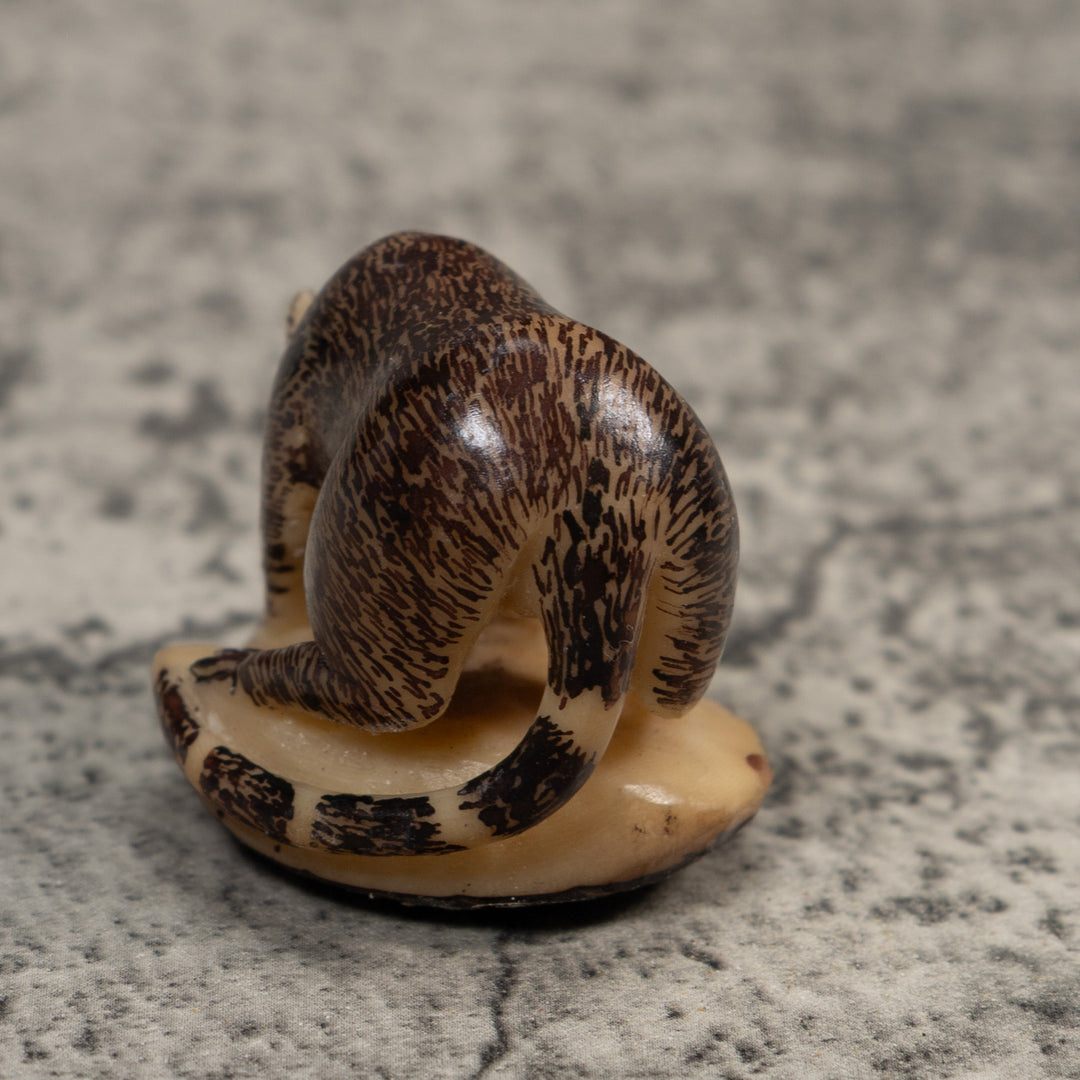 Vintage Coatimundi Tagua Carving