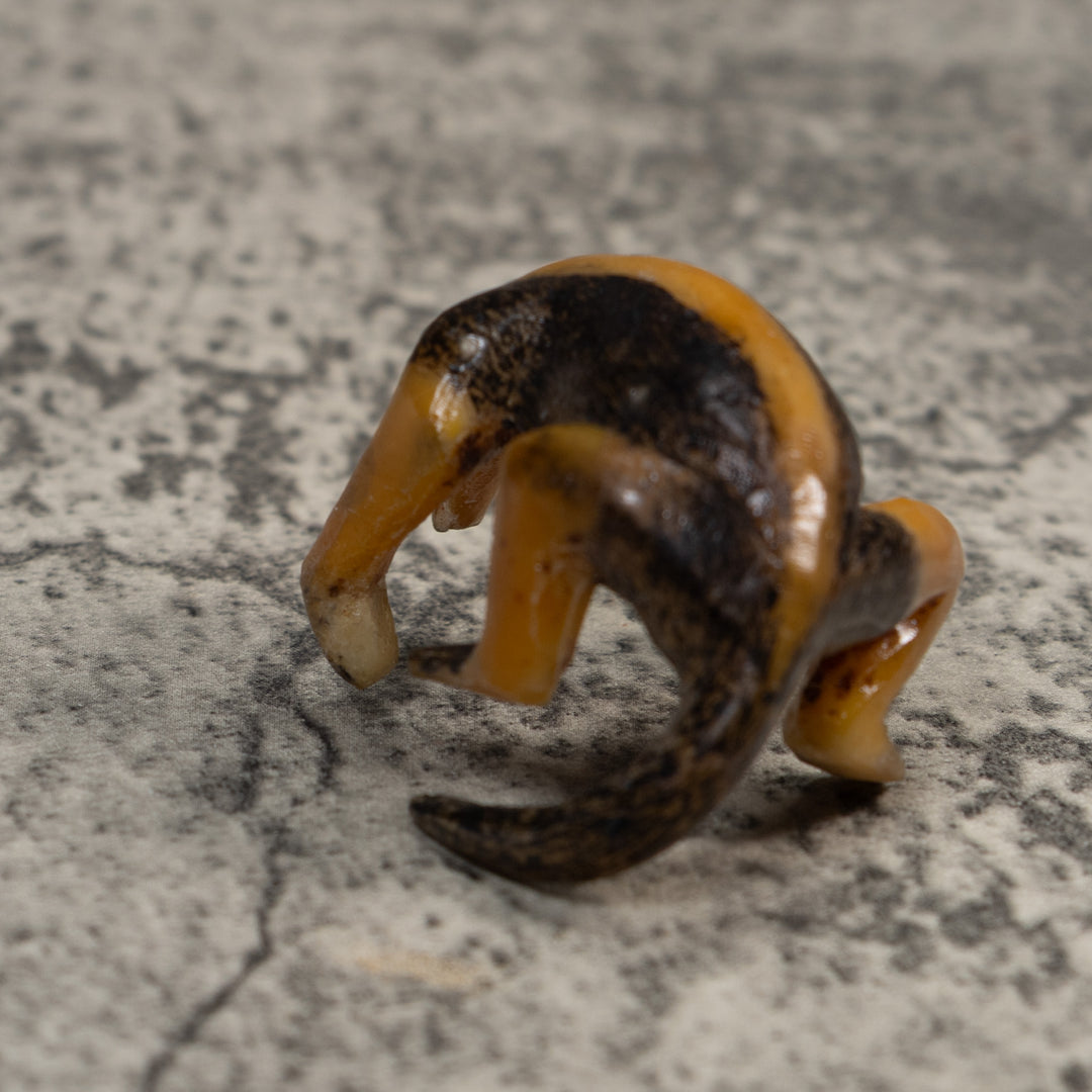 Vintage Undercut And Free-Standing Anteater Tagua Carving