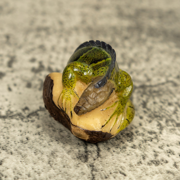 Green Iguana Lizard Tagua Carving