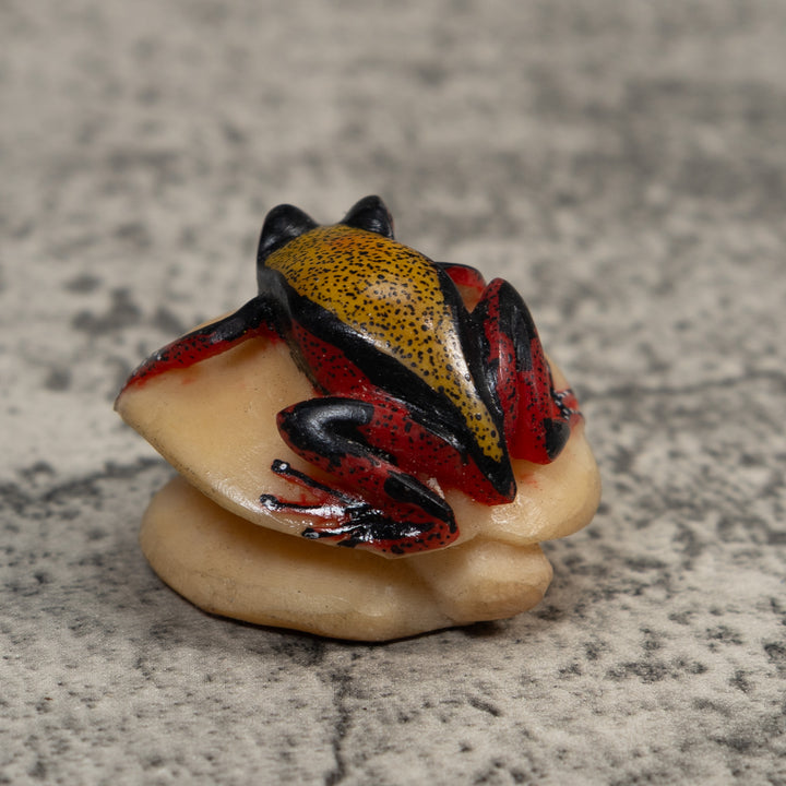 Vintage Red Black And Gold Poison Dart Frog Tagua Carving