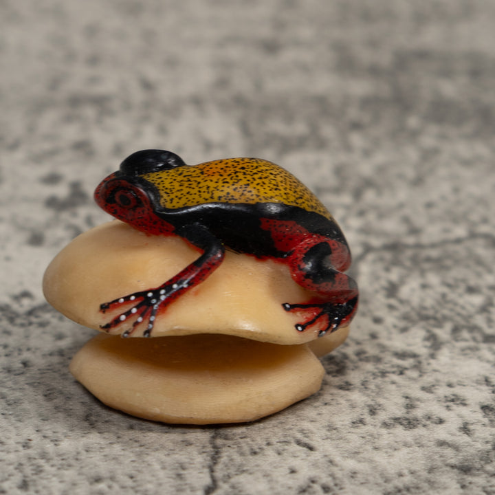 Vintage Red Black And Gold Poison Dart Frog Tagua Carving