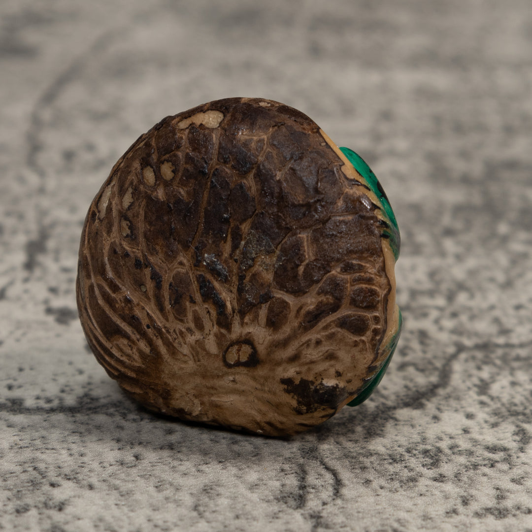 Vintage Green And Black Poison Dart Frog Tagua Carving