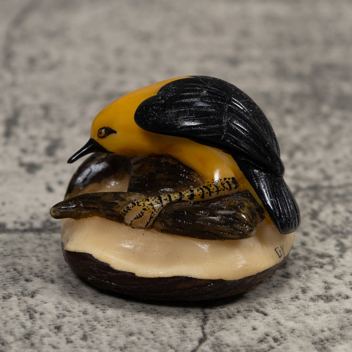 Black And Yellow Oriole Bird Tagua Carving