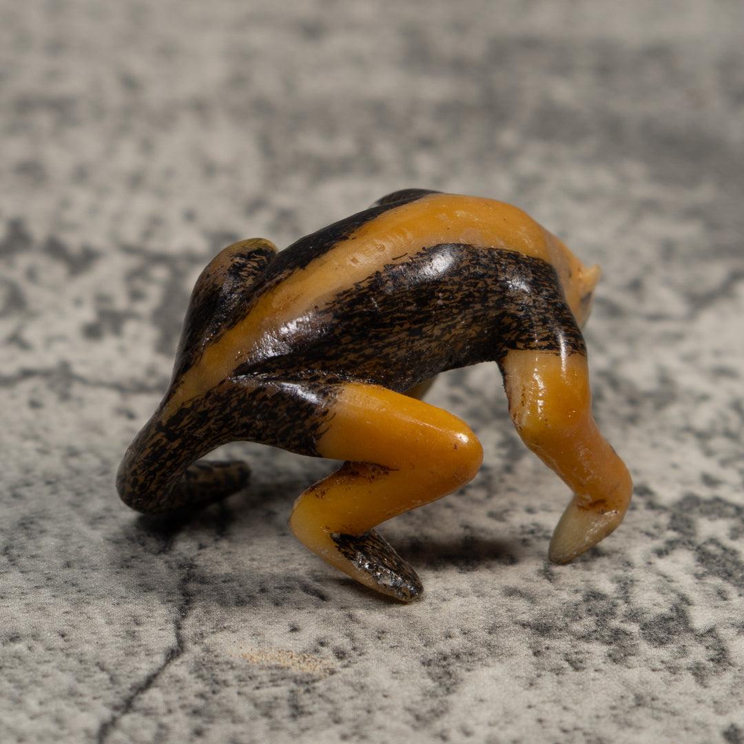 Vintage Undercut And Free-Standing Anteater Tagua Carving