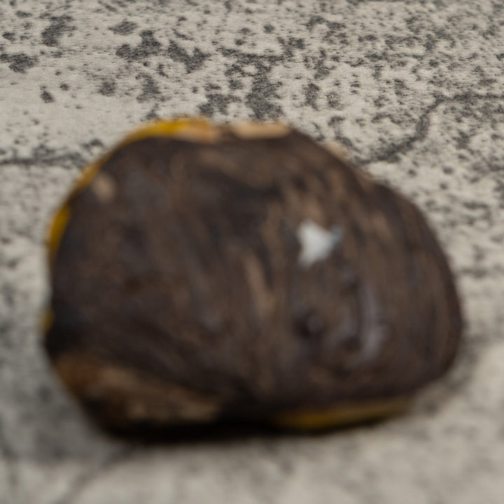 Vintage Yellow And Black Frog Tagua Carving