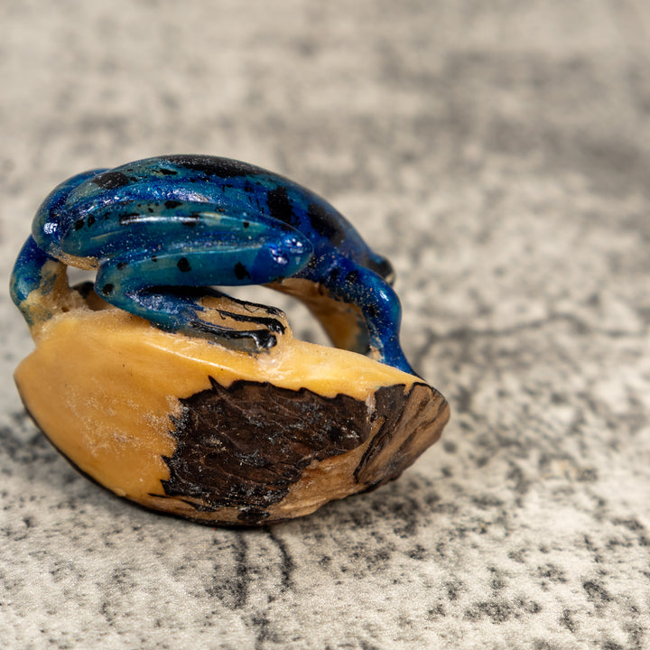 Blue And Black Poison Dart Frog Tagua Carving