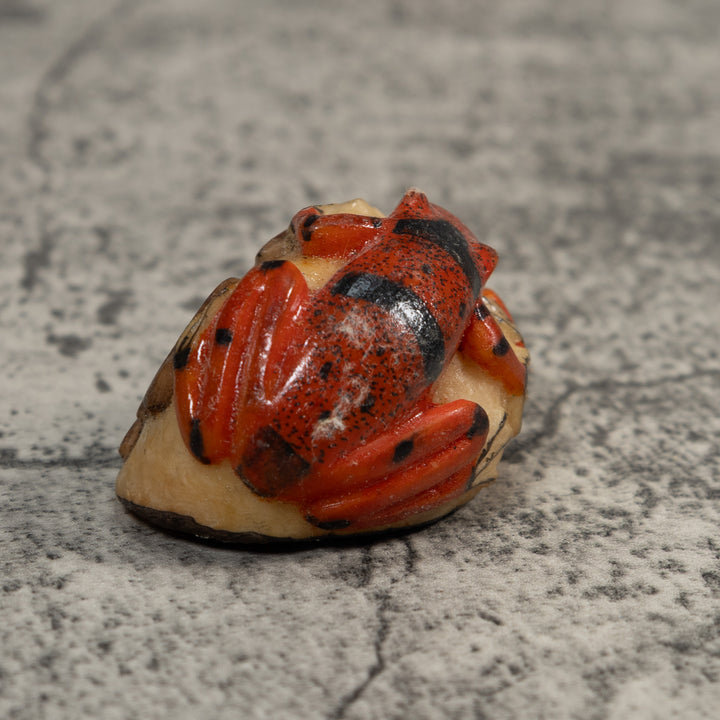 Double Red And Black Poison Dart Frog Tagua Carving