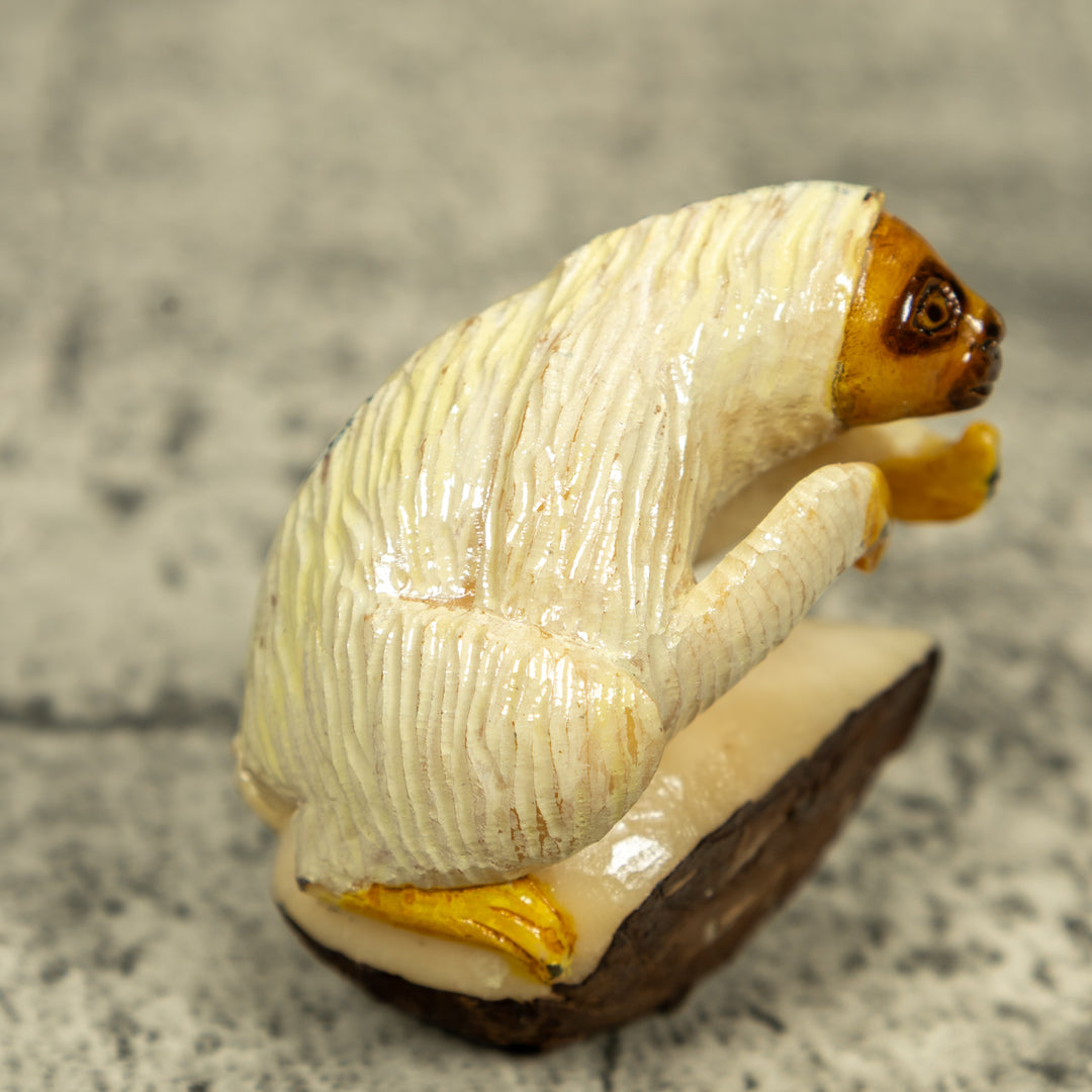 White And Brown Sloth Tagua Carving