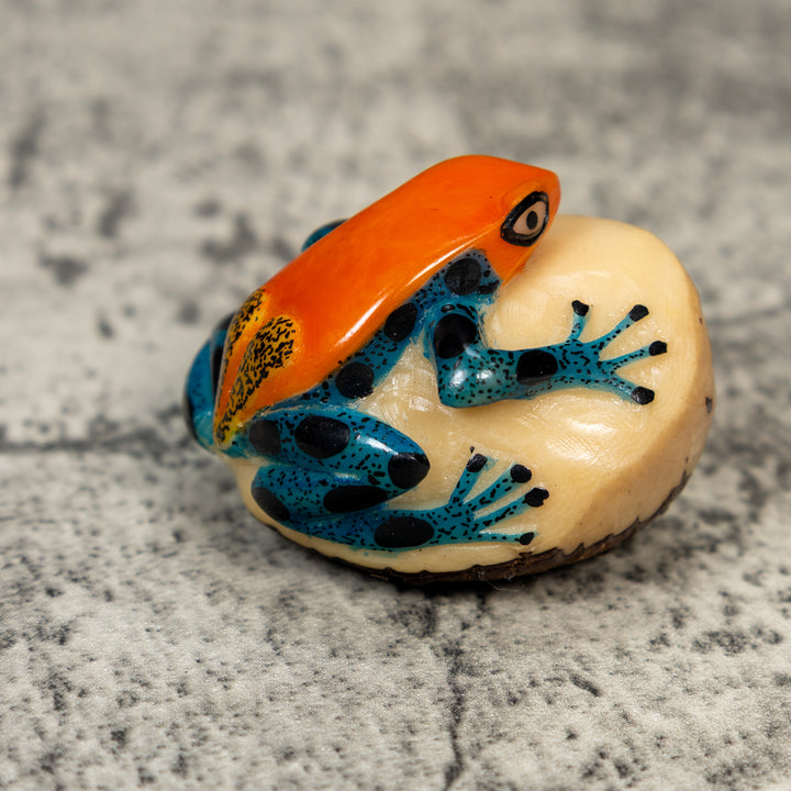 Orange And Blue Poison Dart Frog Tagua Carving