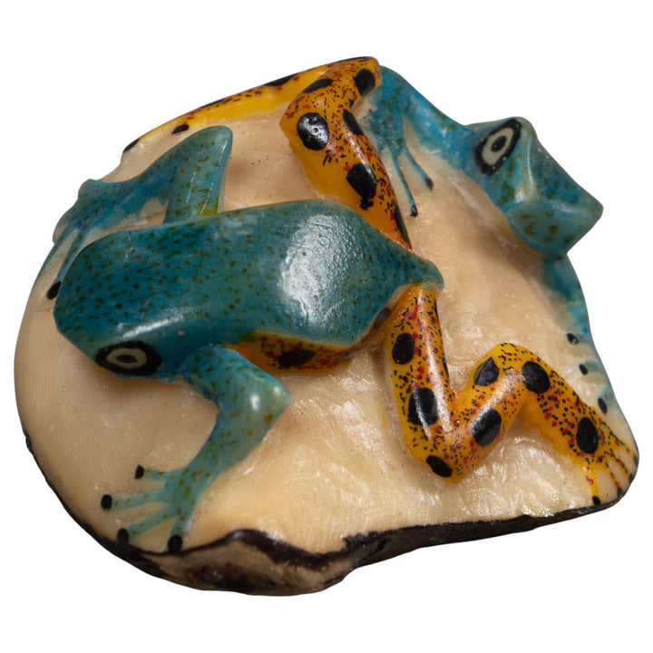 Double Blue Gold And Black Poison Dart Frog Tagua Carving
