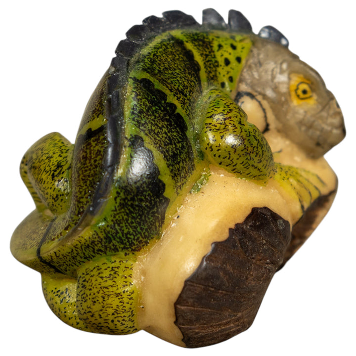 Green Iguana Lizard Tagua Carving