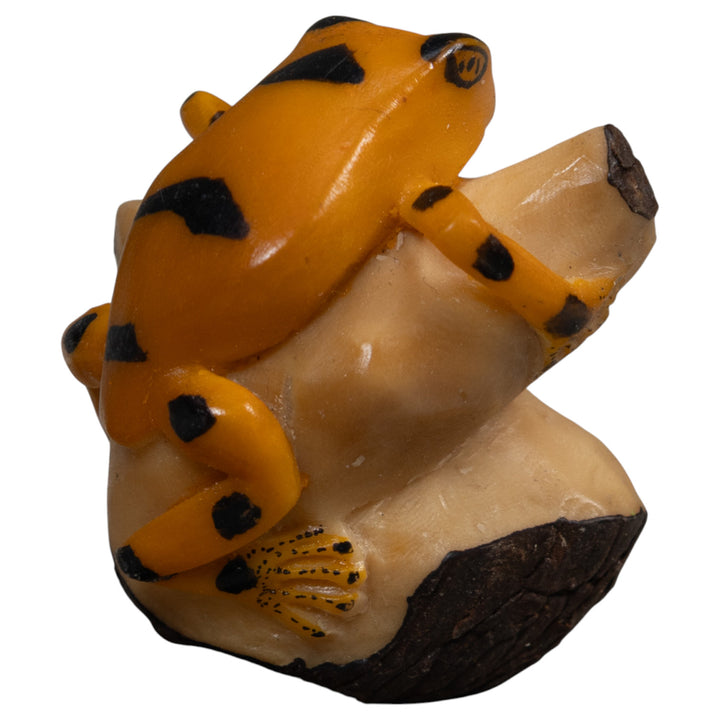 Gold And Black Poison Dart Frog Tagua Carving