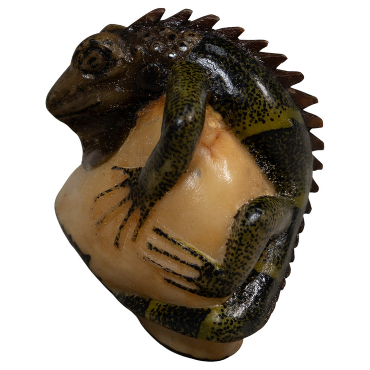 Brown And Black Iguana Lizard Tagua Carving