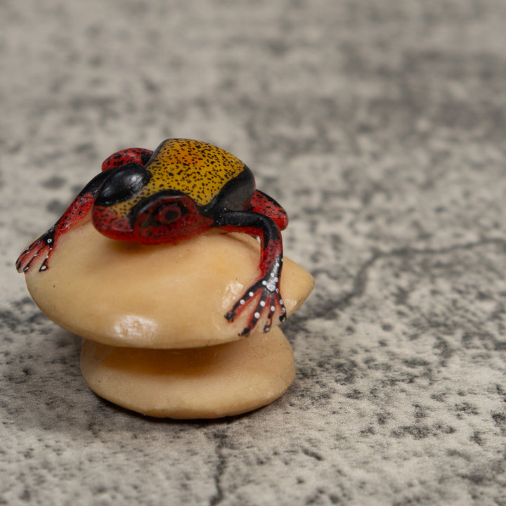 Vintage Red Black And Gold Poison Dart Frog Tagua Carving