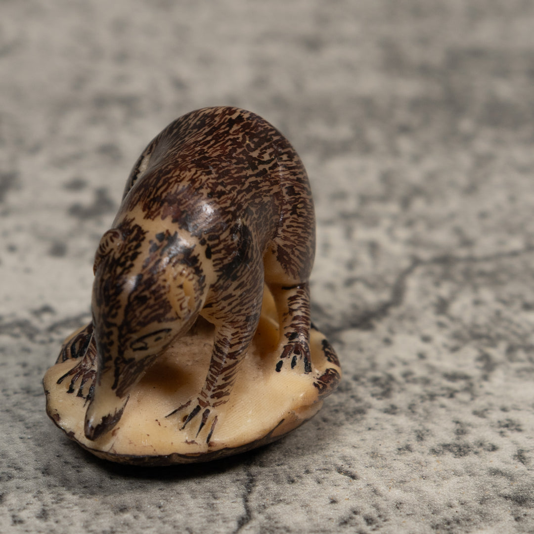 Vintage Coatimundi Tagua Carving