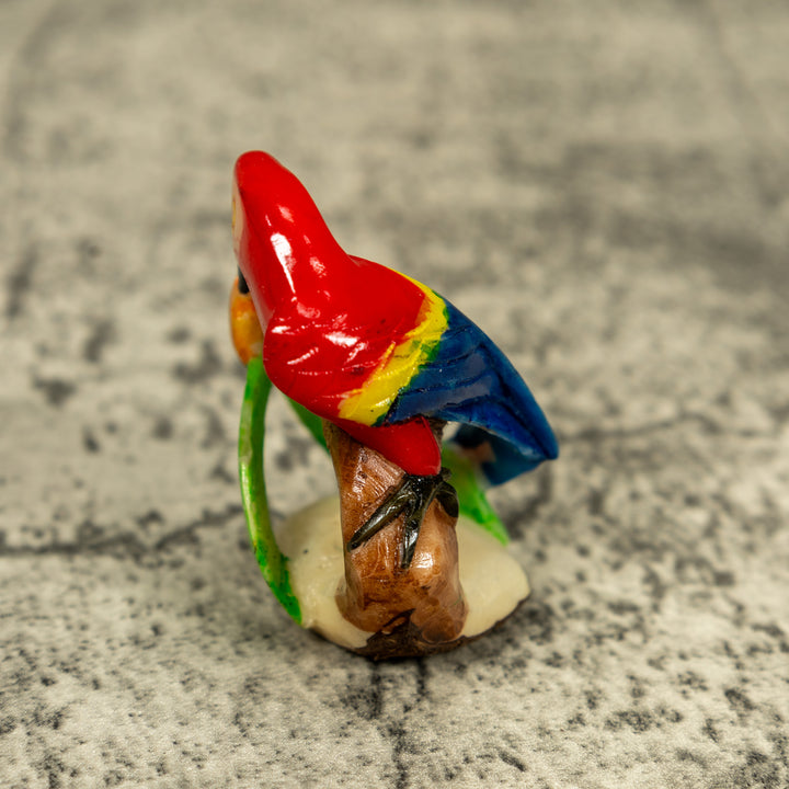 Rainforest Macaw Parrot Bird Tagua Carving
